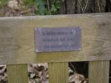 image of grave number 842280
